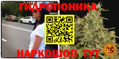 молекула духа Дубна