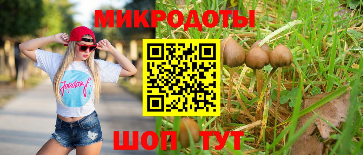 Галлюциногенные грибы Psilocybe  Галлюциногенные грибы мицелий  Вход с VPN  Каменск-Шахтинский 