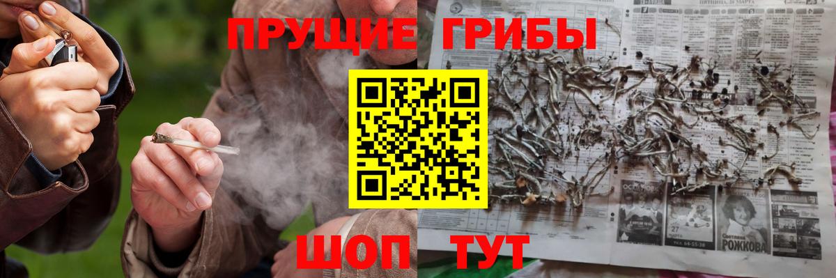 Псилоцибиновые грибы ЛСД Каменск-Шахтинский
